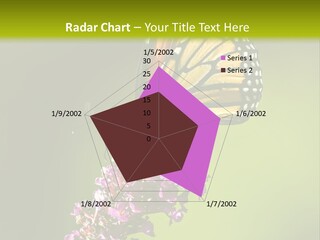 Monarch Butterfly PowerPoint Template