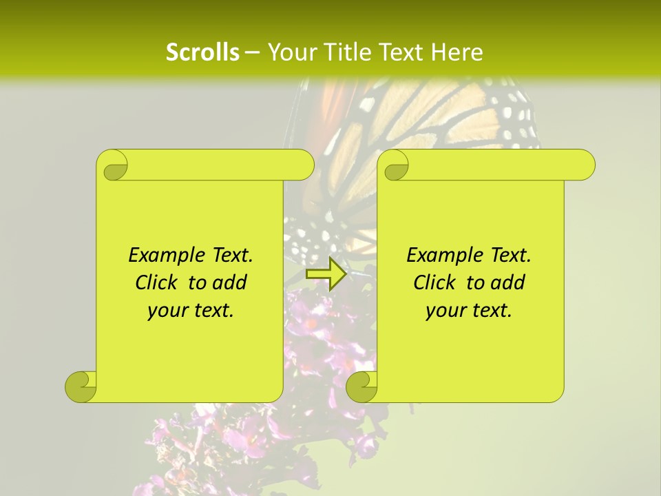 Monarch Butterfly PowerPoint Template