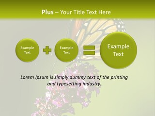 Monarch Butterfly PowerPoint Template