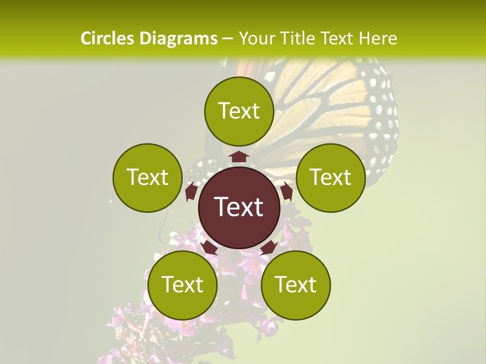 Monarch Butterfly PowerPoint Template