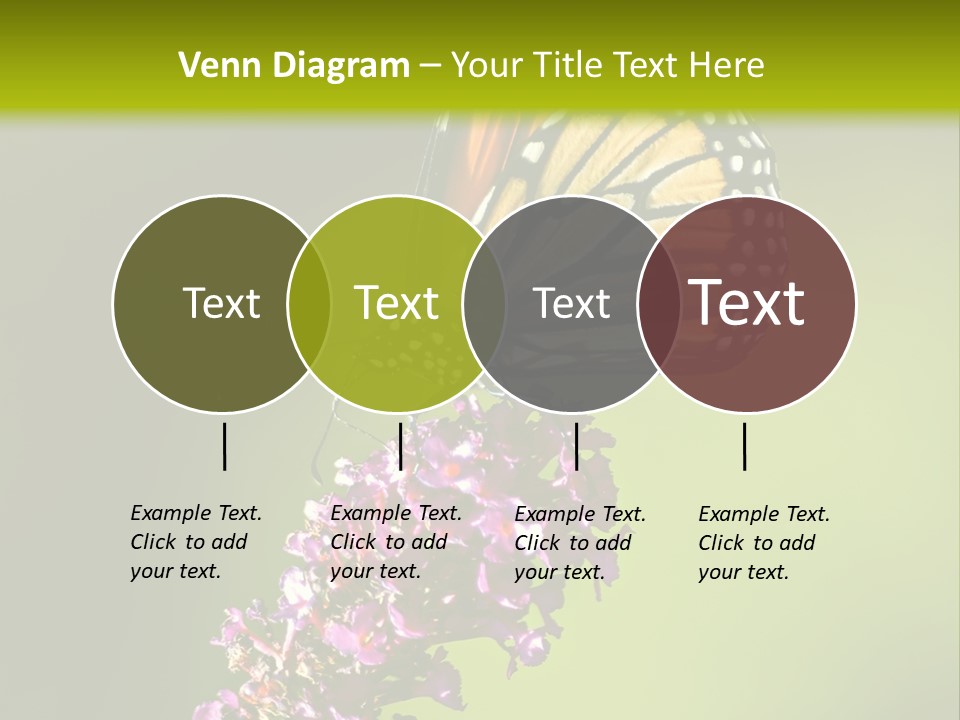 Monarch Butterfly PowerPoint Template