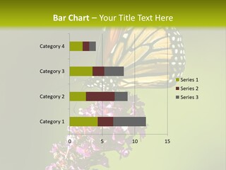 Monarch Butterfly PowerPoint Template