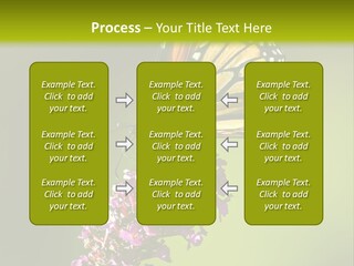 Monarch Butterfly PowerPoint Template