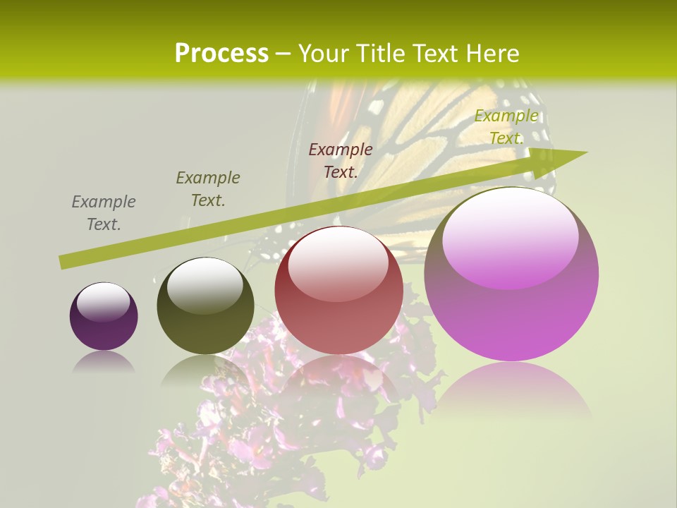 Monarch Butterfly PowerPoint Template