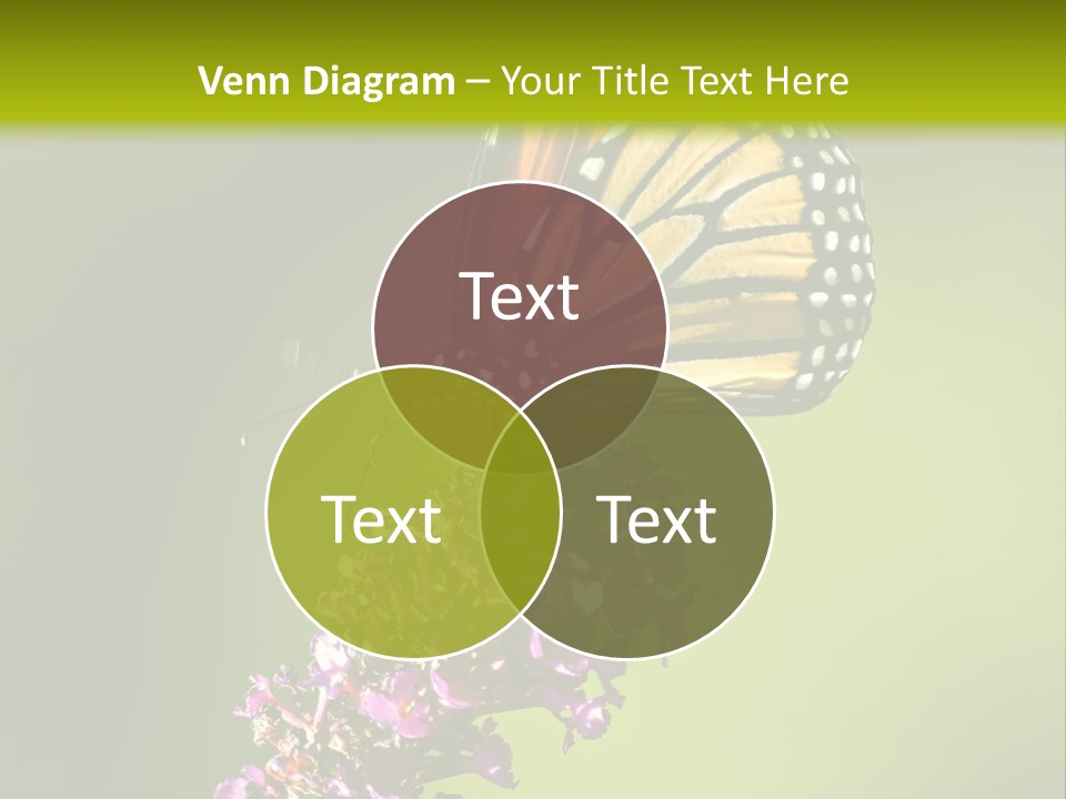 Monarch Butterfly PowerPoint Template