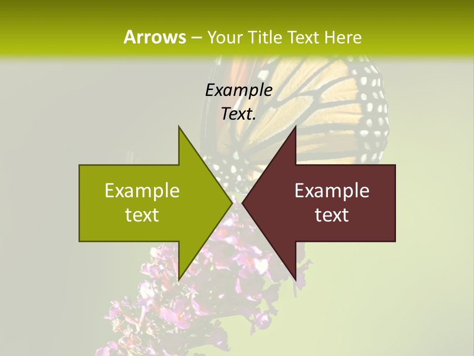 Monarch Butterfly PowerPoint Template