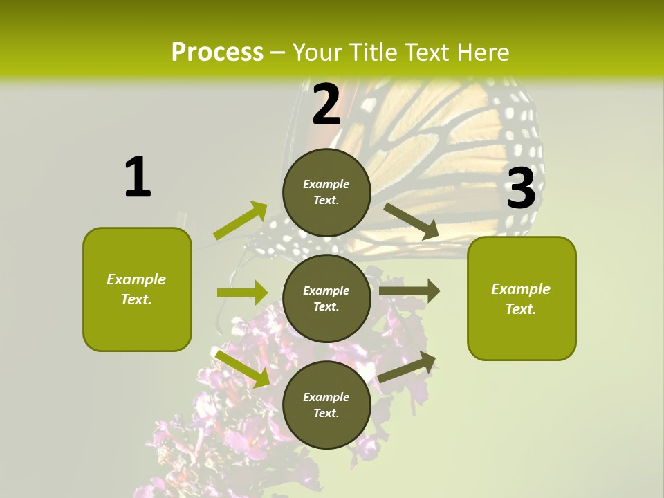 Monarch Butterfly PowerPoint Template