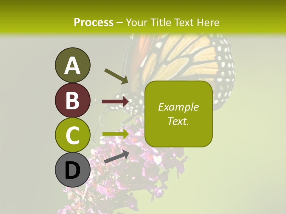 Monarch Butterfly PowerPoint Template