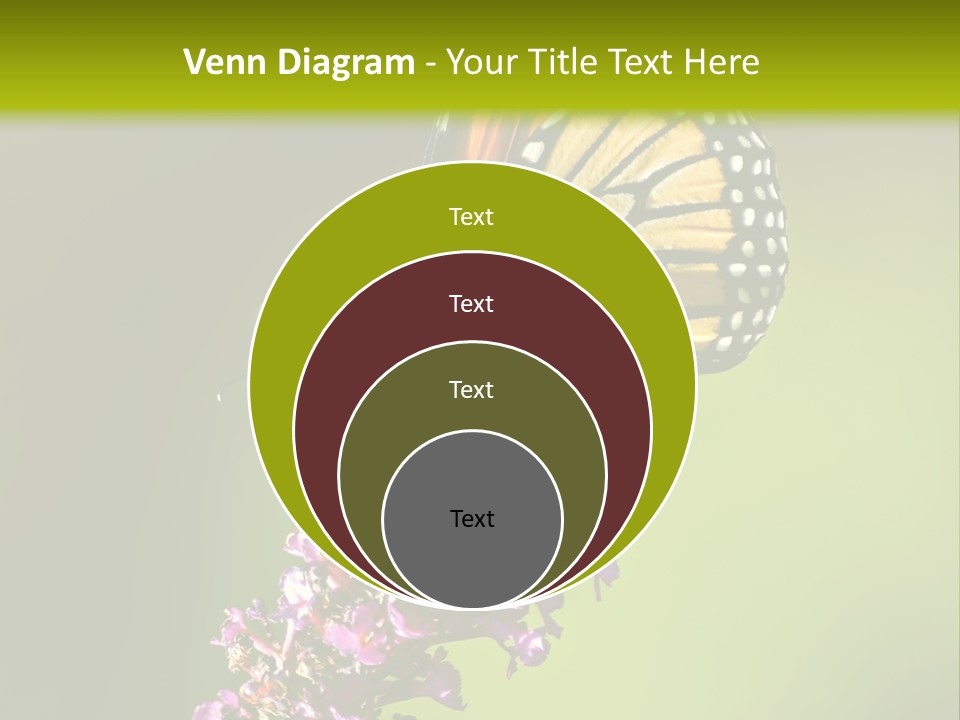 Monarch Butterfly PowerPoint Template