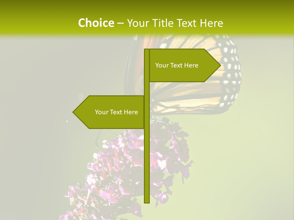 Monarch Butterfly PowerPoint Template