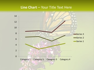 Monarch Butterfly PowerPoint Template