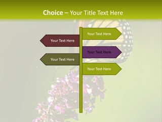 Monarch Butterfly PowerPoint Template