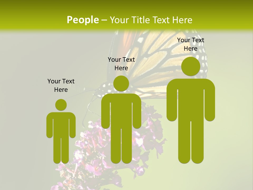 Monarch Butterfly PowerPoint Template