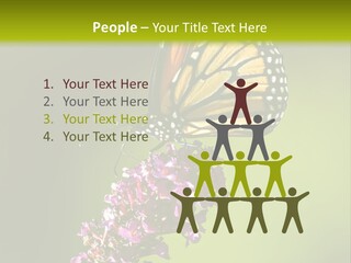 Monarch Butterfly PowerPoint Template