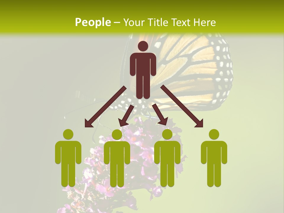 Monarch Butterfly PowerPoint Template