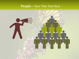 Monarch Butterfly PowerPoint Template