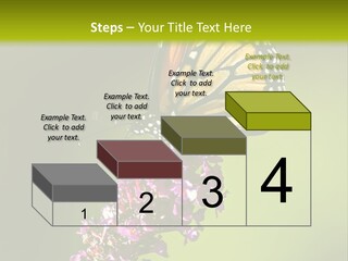 Monarch Butterfly PowerPoint Template