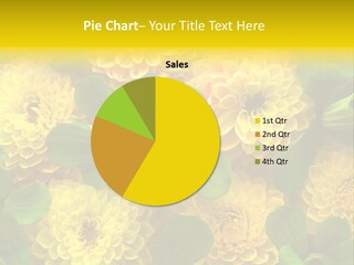 Yellow Flower Background PowerPoint Template