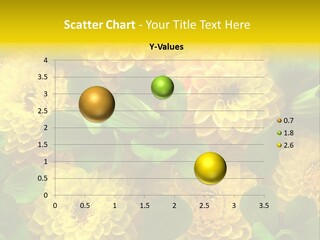 Yellow Flower Background PowerPoint Template