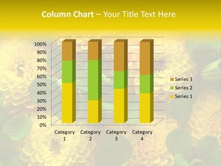 Yellow Flower Background PowerPoint Template