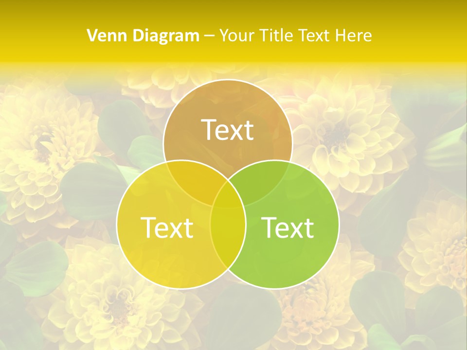Yellow Flower Background PowerPoint Template