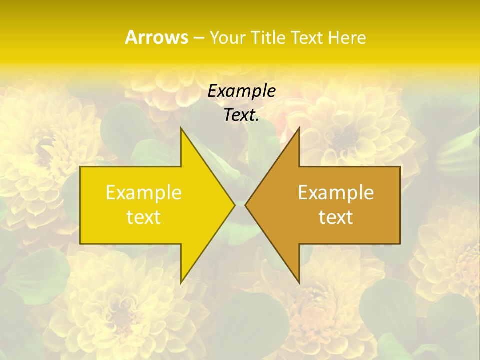 Yellow Flower Background PowerPoint Template