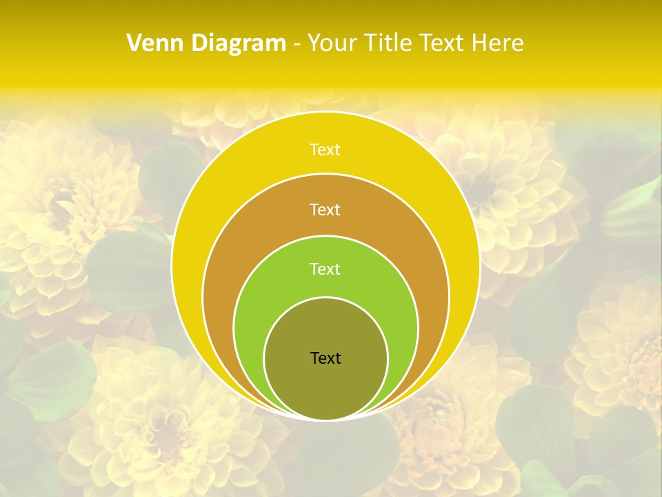 Yellow Flower Background PowerPoint Template
