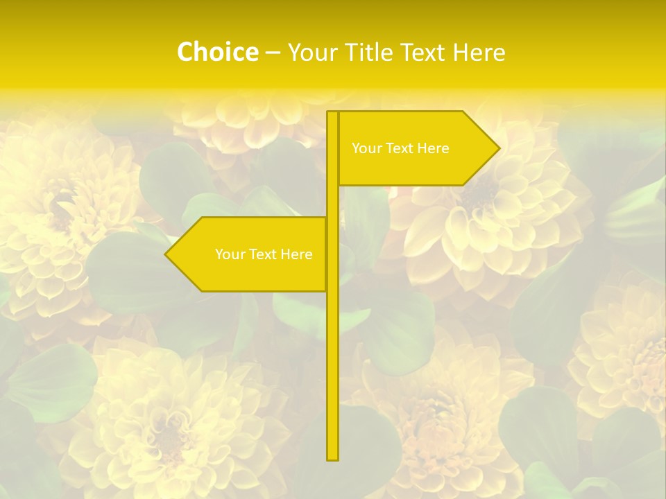 Yellow Flower Background PowerPoint Template