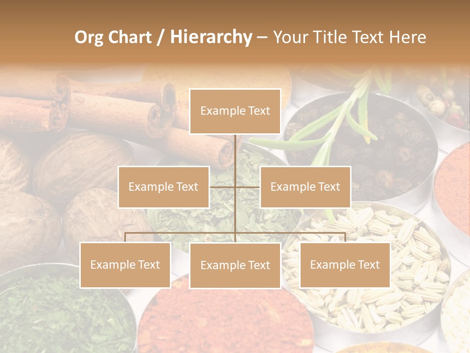 Spices And Herbs Used In Indian Cooking PowerPoint Template