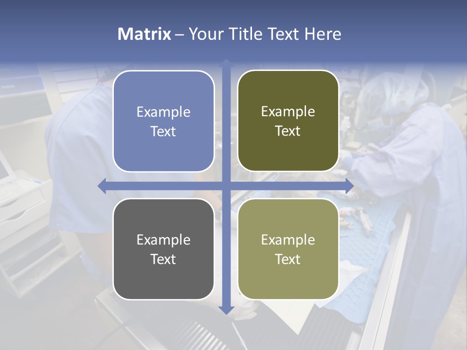A Woman In A Hospital Operating On A Dog PowerPoint Template
