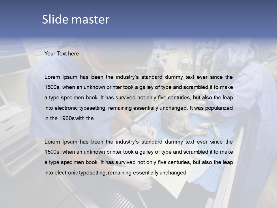 A Woman In A Hospital Operating On A Dog PowerPoint Template