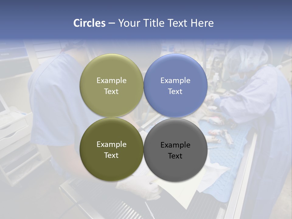 A Woman In A Hospital Operating On A Dog PowerPoint Template