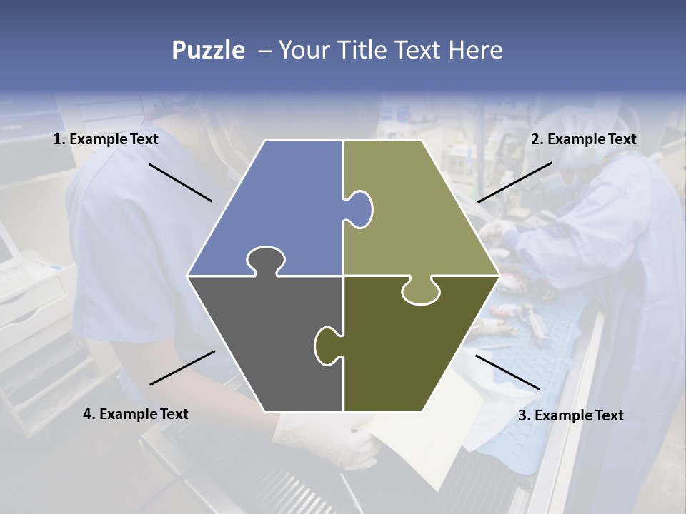 A Woman In A Hospital Operating On A Dog PowerPoint Template