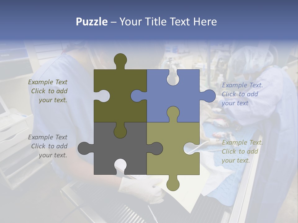 A Woman In A Hospital Operating On A Dog PowerPoint Template