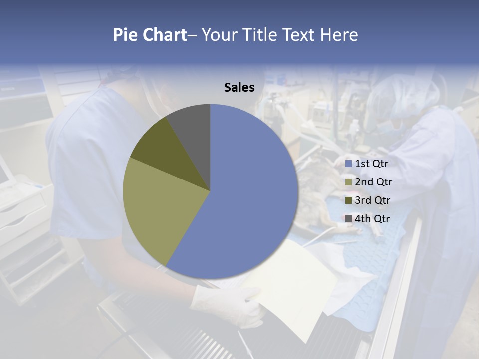 A Woman In A Hospital Operating On A Dog PowerPoint Template