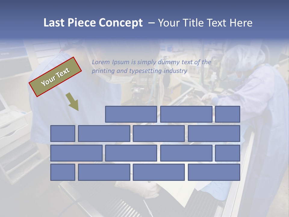 A Woman In A Hospital Operating On A Dog PowerPoint Template