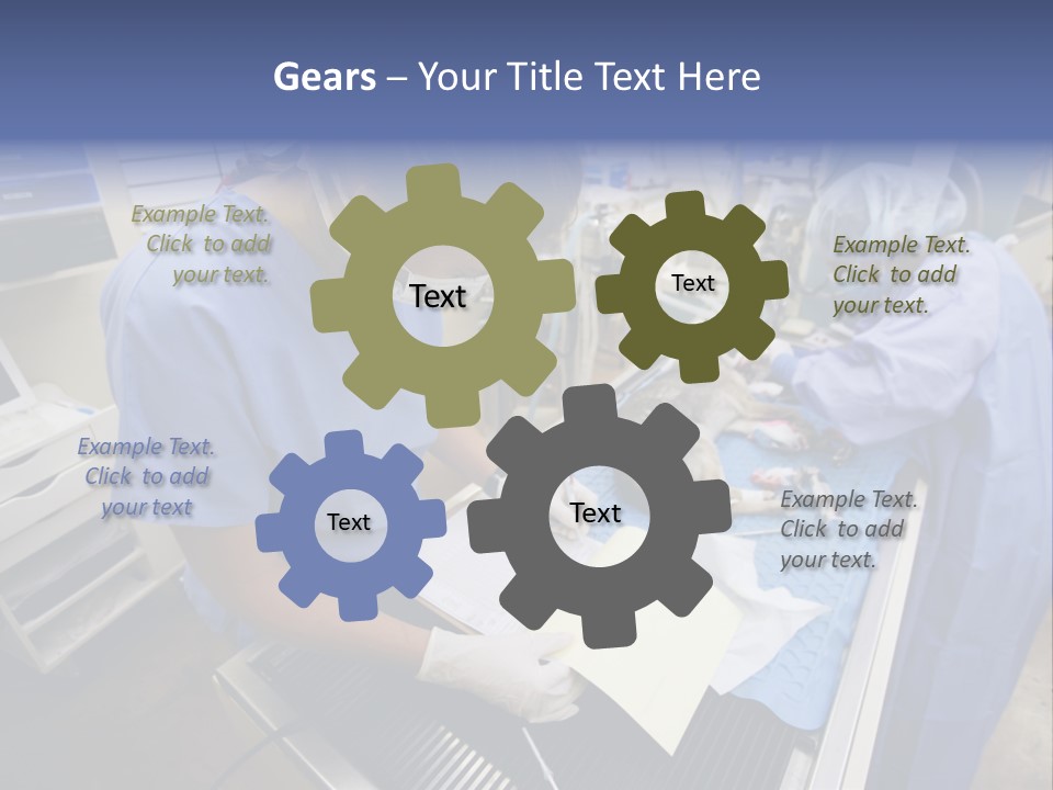 A Woman In A Hospital Operating On A Dog PowerPoint Template