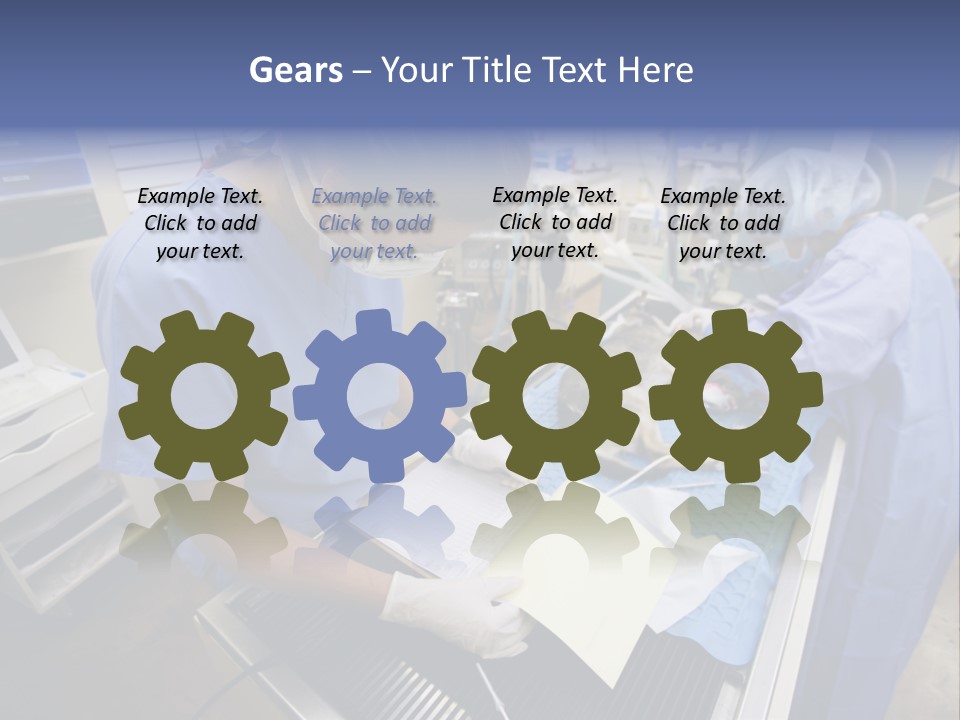 A Woman In A Hospital Operating On A Dog PowerPoint Template