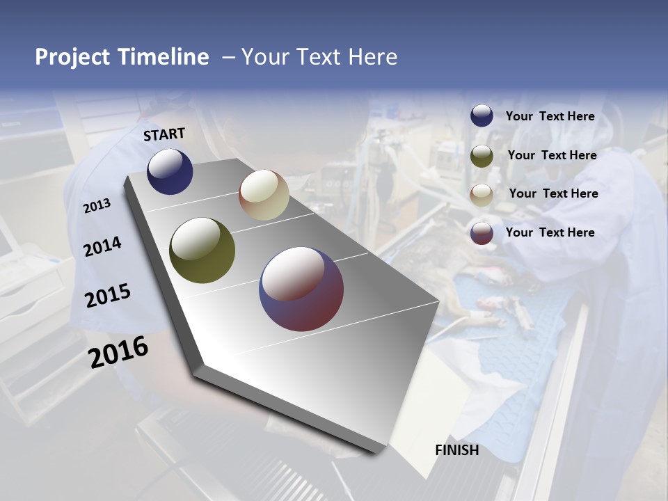 A Woman In A Hospital Operating On A Dog PowerPoint Template