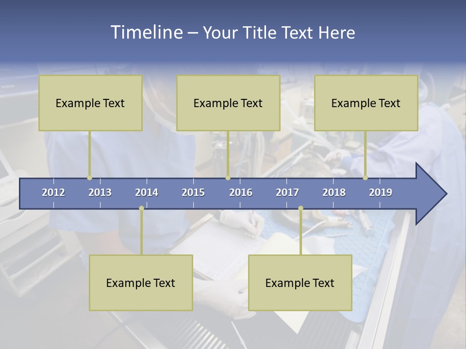 A Woman In A Hospital Operating On A Dog PowerPoint Template