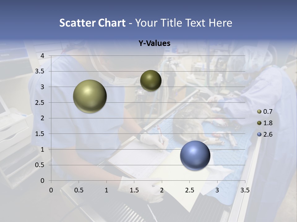 A Woman In A Hospital Operating On A Dog PowerPoint Template