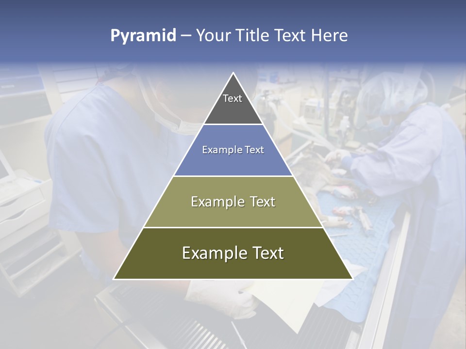 A Woman In A Hospital Operating On A Dog PowerPoint Template