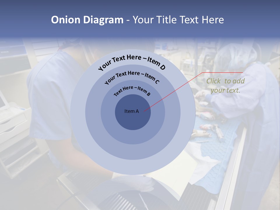 A Woman In A Hospital Operating On A Dog PowerPoint Template