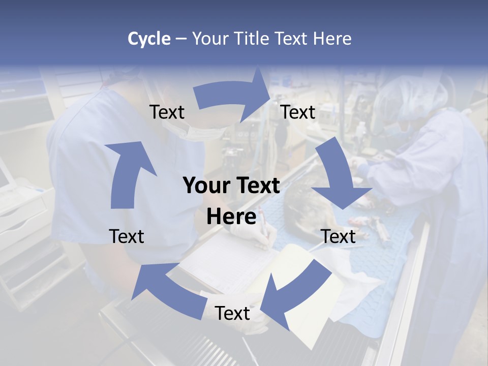A Woman In A Hospital Operating On A Dog PowerPoint Template
