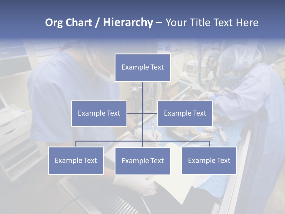 A Woman In A Hospital Operating On A Dog PowerPoint Template