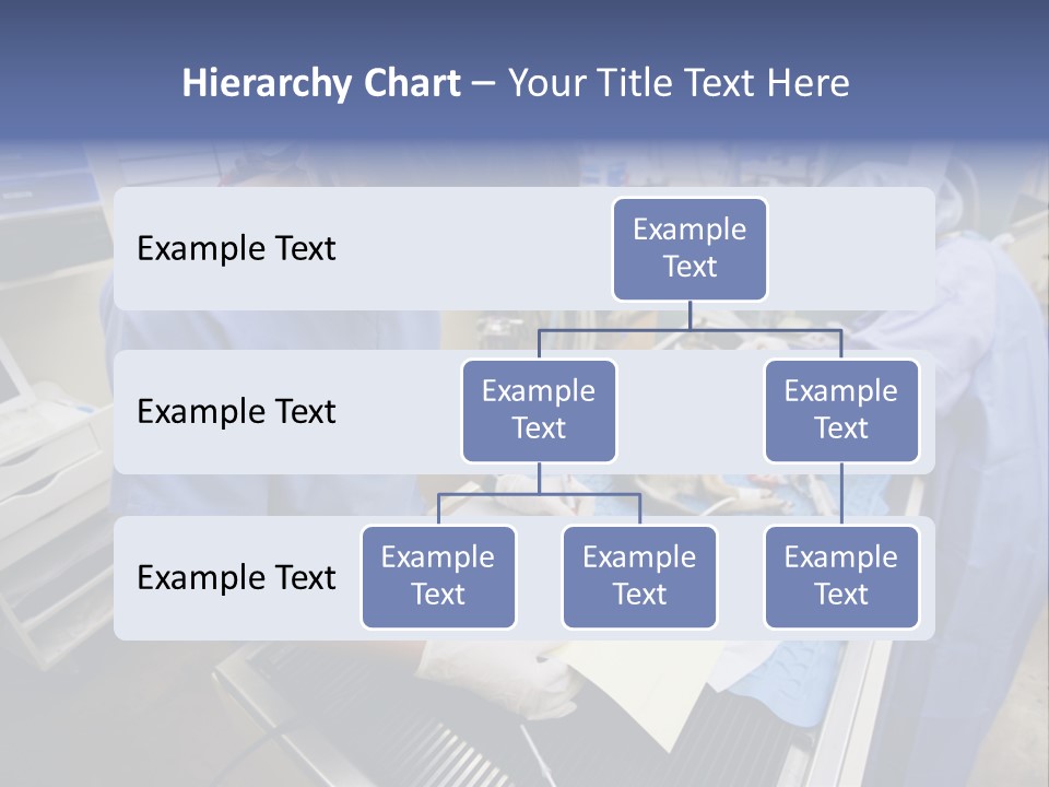 A Woman In A Hospital Operating On A Dog PowerPoint Template