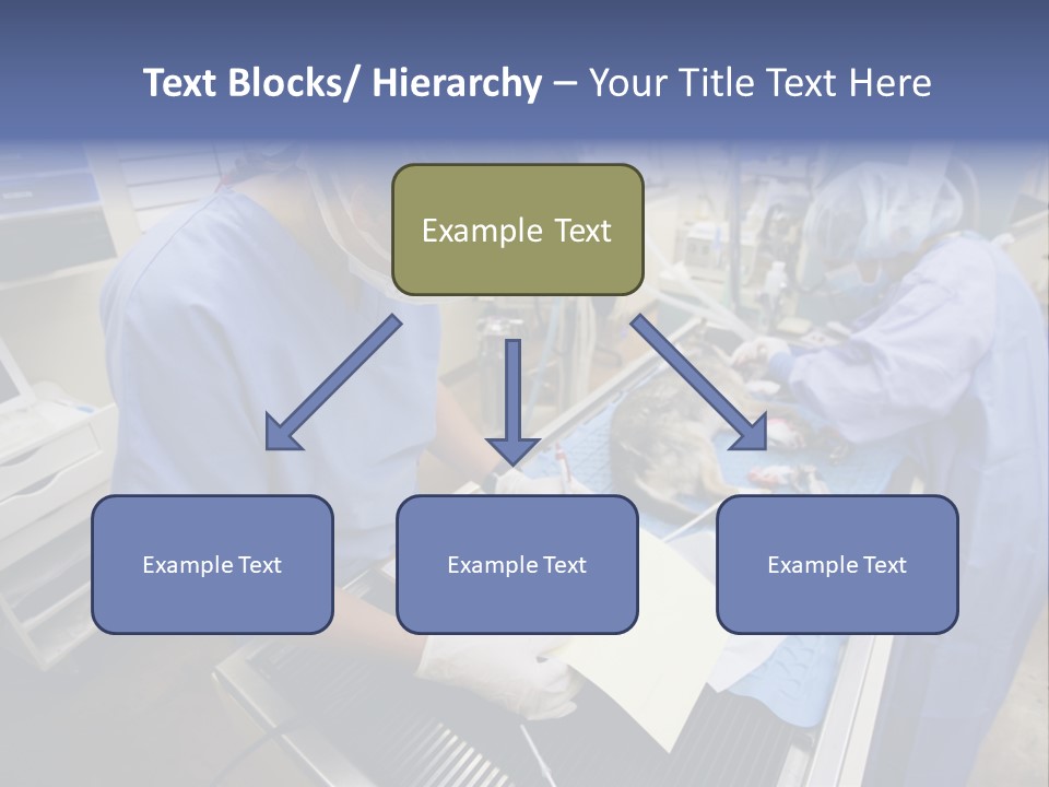 A Woman In A Hospital Operating On A Dog PowerPoint Template