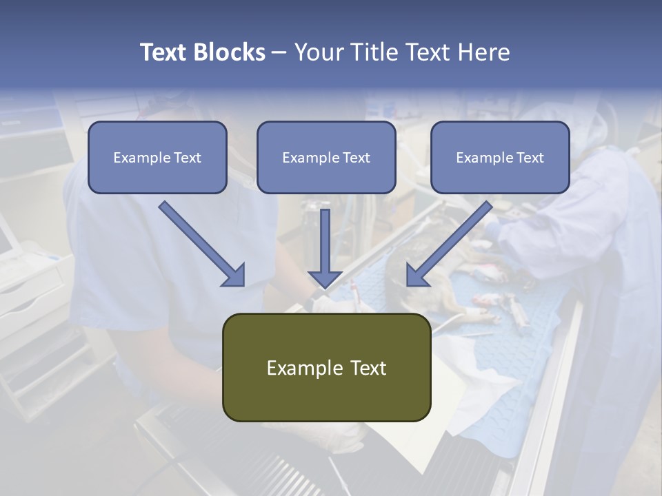 A Woman In A Hospital Operating On A Dog PowerPoint Template