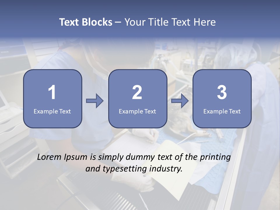 A Woman In A Hospital Operating On A Dog PowerPoint Template