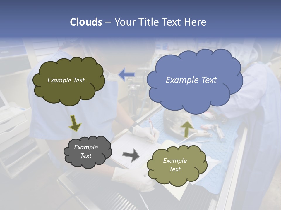 A Woman In A Hospital Operating On A Dog PowerPoint Template